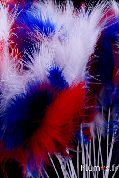 Panicule 3 plumes - hauteur 36 cm - rouge-blanc-bleu